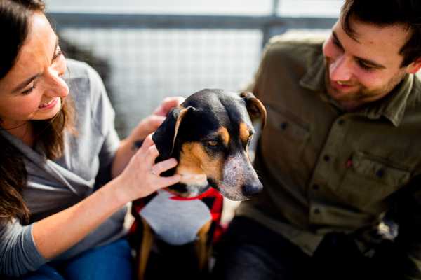 10 Essential Tips for new Pet Owners